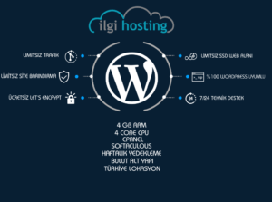 limitsiz wordpress hosting